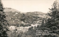 View from a Wooded Hillside Mill Valley, CA Postcard Postcard Postcard