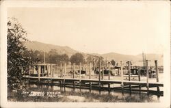 San Rafael Yacht Harbor Postcard