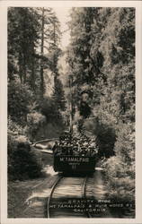 Gravity Ride - Mt. Tamalpais & Muir Woods Mill Valley, CA Postcard Postcard Postcard