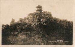 The Peak Mt. Tamalpais and Muir Woods Mill Valley, CA Postcard Postcard Postcard