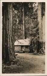 The Cabin - Mt. Tamalpais and Muir Woods Ry Mill Valley, CA Postcard Postcard Postcard