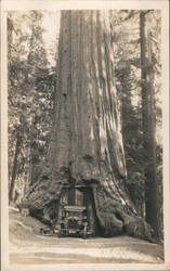 Car Driving Through Giant Redwood Yosemite Valley, CA Postcard Postcard Postcard