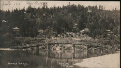 View of Houses on the Hill 1911 Postcard