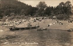 Beach Scene on the Russian River Postcard