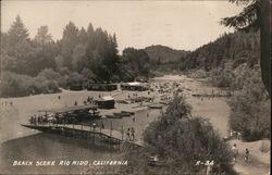 Beach Scene Postcard