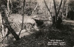 Wild Waters Lake Robin Lodge Postcard