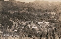 Guerneville, Calif., On the Russian River, Lark Photo Postcard