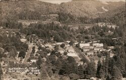 Birds Eye View of Guerneville Postcard