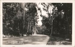 El Camino Real California Postcard Postcard Postcard