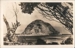 The Morro Rock Postcard