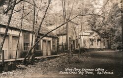 First Pony Express Office Santa Cruz Bug Trees California Postcard Postcard Postcard