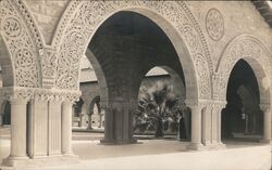 Arches at Stanford University Palo Alto, CA Postcard Postcard Postcard