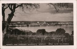 General View of Stanford University Postcard