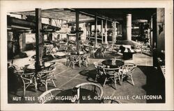 Nut Tree Patio High way US 40 Postcard