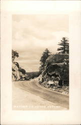 Road from Camp Mather to Hetch Hetchy Postcard