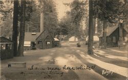 General Grant National Park Sequoia & Kings Canyon National Parks Robery Postcard Postcard Postcard