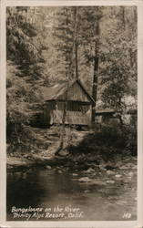 Bungalows on the River - Trinity Alps Resort Postcard