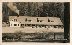 Mineral Lodge California Postcard Postcard Postcard