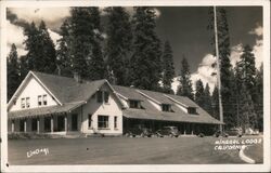 Mineral Lodge California Lind Postcard Postcard Postcard