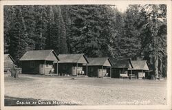 Cabins at Child's Meadow Postcard