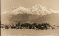 Mount Shasta Postcard