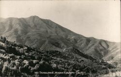 Mt. Tamalpais Mill Valley, CA Postcard Postcard Postcard