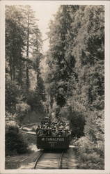 Mount Tamalpais Tram Postcard