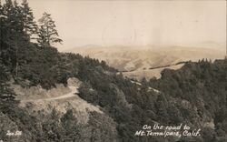 On the road to Mt. Tamalpais, Calif. Postcard