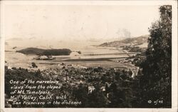 View of the slopes of Mt. Tamalpais Mill Valley, CA Postcard Postcard Postcard