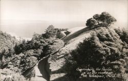 Overlooking the Pacific on the Road to Mt. Tamalpais Mill Valley, CA Postcard Postcard Postcard