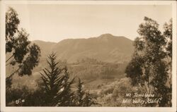 Mt. Tamalpais Mill Valley, CA Postcard Postcard Postcard