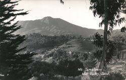 Mt. Tamalpais Mill Valley, CA Postcard Postcard Postcard