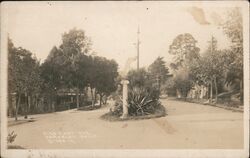 Piedmont Ave. Berkeley, CA Postcard Postcard Postcard