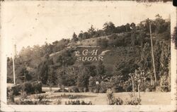 C and H Sugar in Carolina Heights Crockett, CA Postcard Postcard Postcard