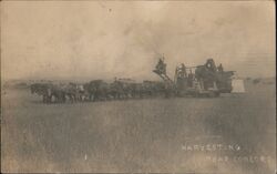 Horse Drawn Harvester Near Concord Postcard