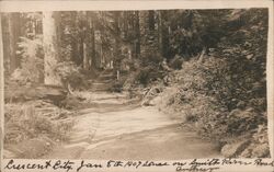 Smith River Road 1907 Postcard