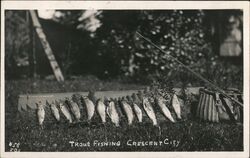 Trout Fishing Postcard