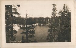 Lucile Lake #783 South Lake Tahoe, CA Postcard Postcard Postcard