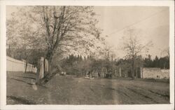 Street - Forest Hill, 1916 Texas Postcard Postcard Postcard