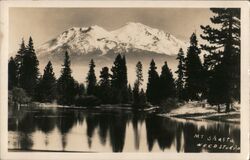 Mount Shasta California Postcard Postcard Postcard