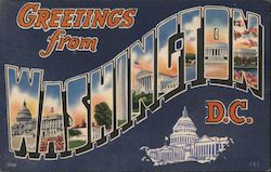 Greetings from Washington D.C. Postcard