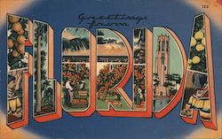 Greetings from Florida Postcard Postcard Postcard