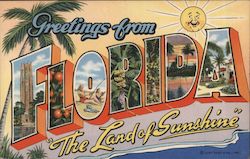 Greetings from Florida Postcard Postcard Postcard