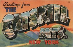 Greetings from Catskill Mountains Postcard