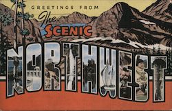 Greetings from The Scenic Northwest Large Letter Postcard Postcard Postcard