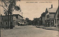 A Portion of Main Street Postcard