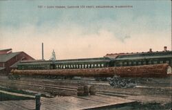 Long Timber - Length 123 Feet Postcard