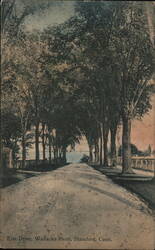 Elm Drive Wallacks Point Postcard