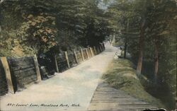 Lovers' Lane, Macatawa Park Postcard