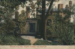 Angelo Cottage Ellicott City, MD Postcard Postcard Postcard